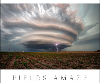 fields-amaze-and-other-strange-music-by-patrick-grant
