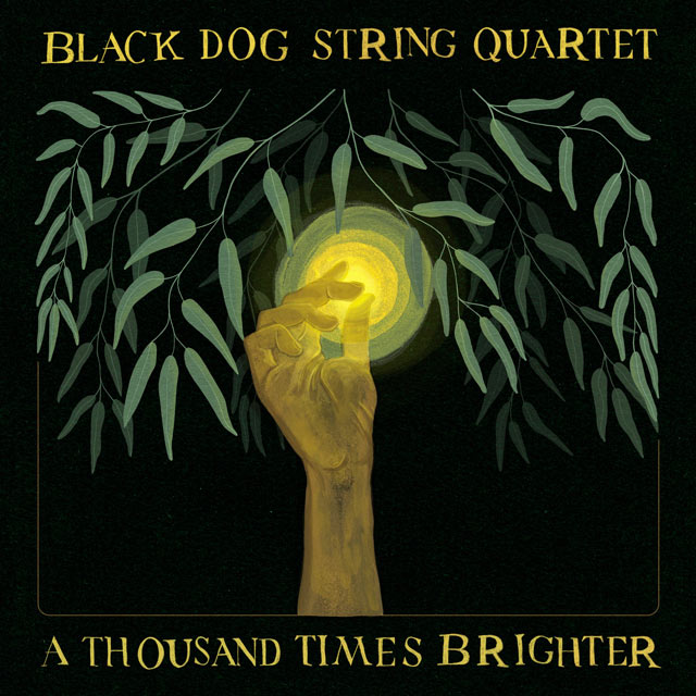 Black Dog String Quartet A Thousand Times Brighter